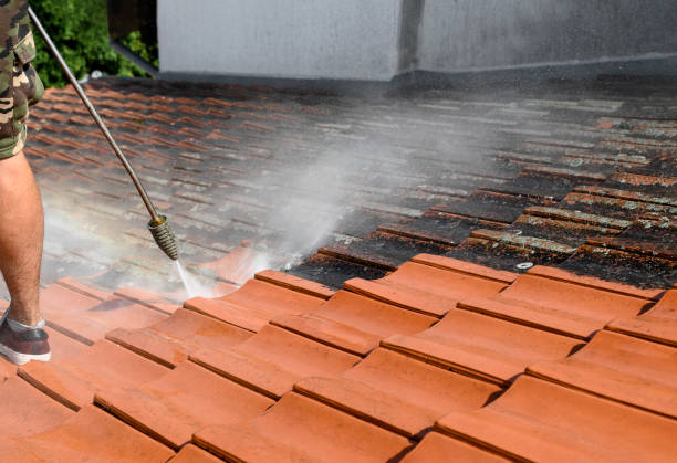  Bostonia, CA Pressure Washing Pros