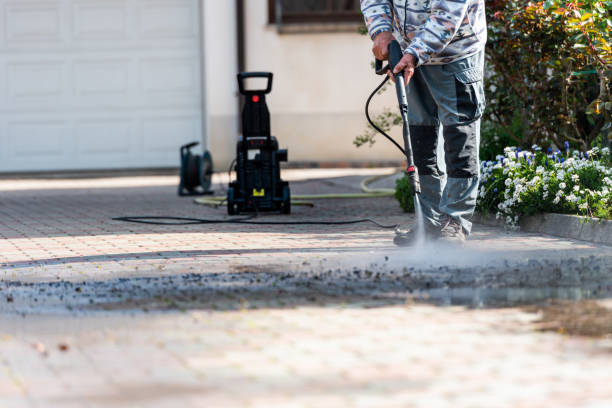Best House Pressure Washing  in Bostonia, CA